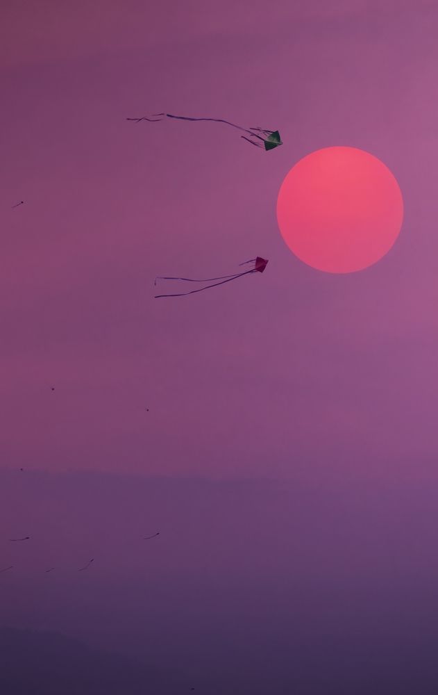 "Freedom struggling for a rebirth"