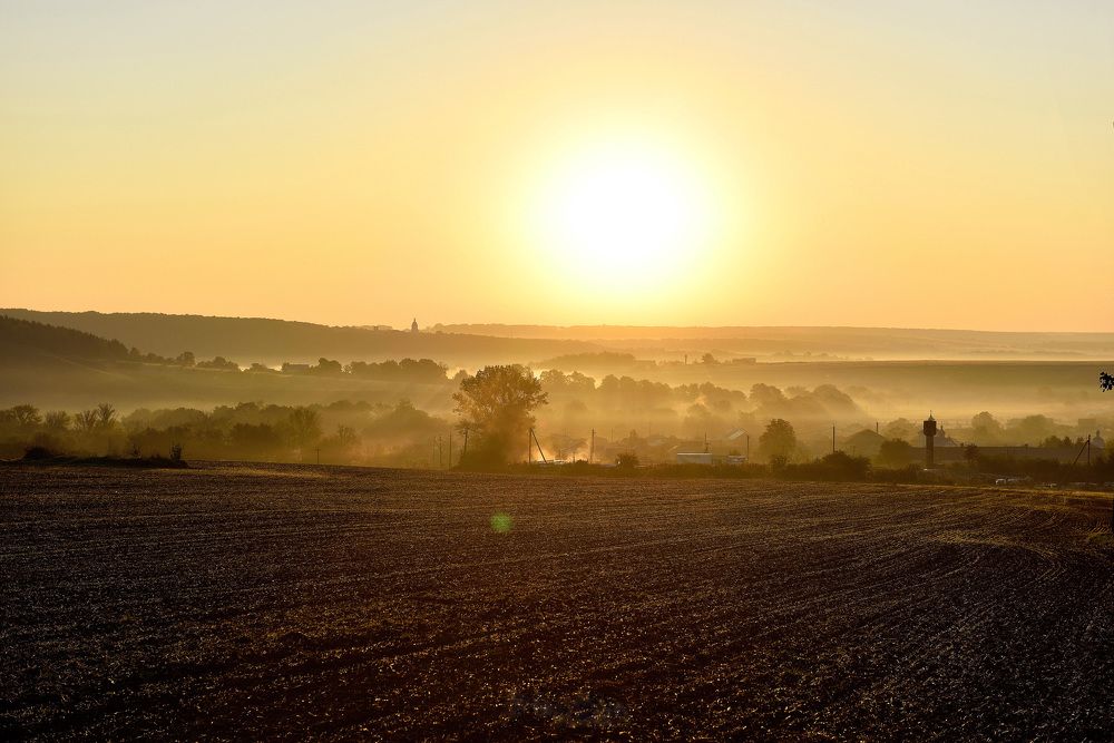 Осень. Утренний туман.