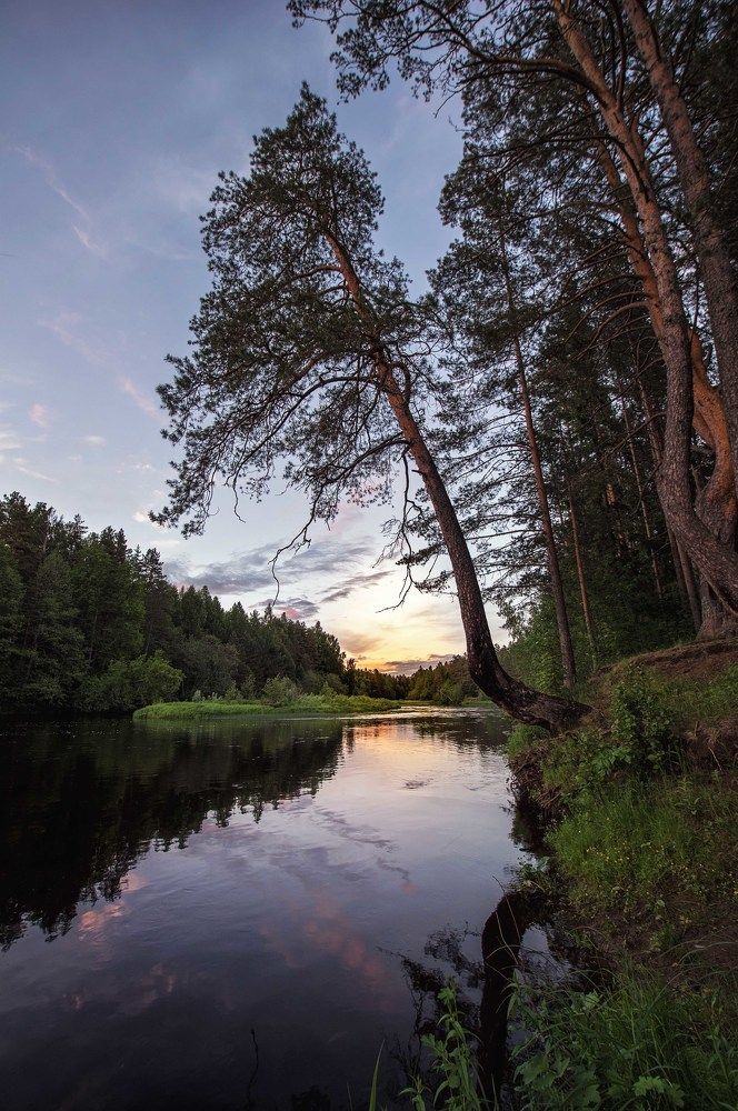 Склонившись над рекой