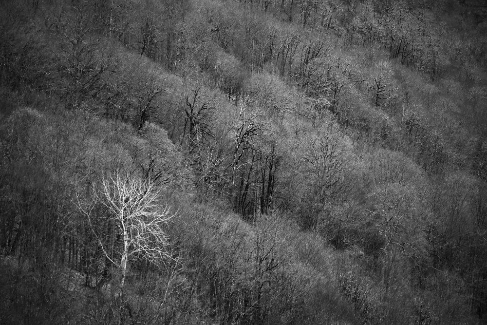 Фотография автора Медведев Сергей