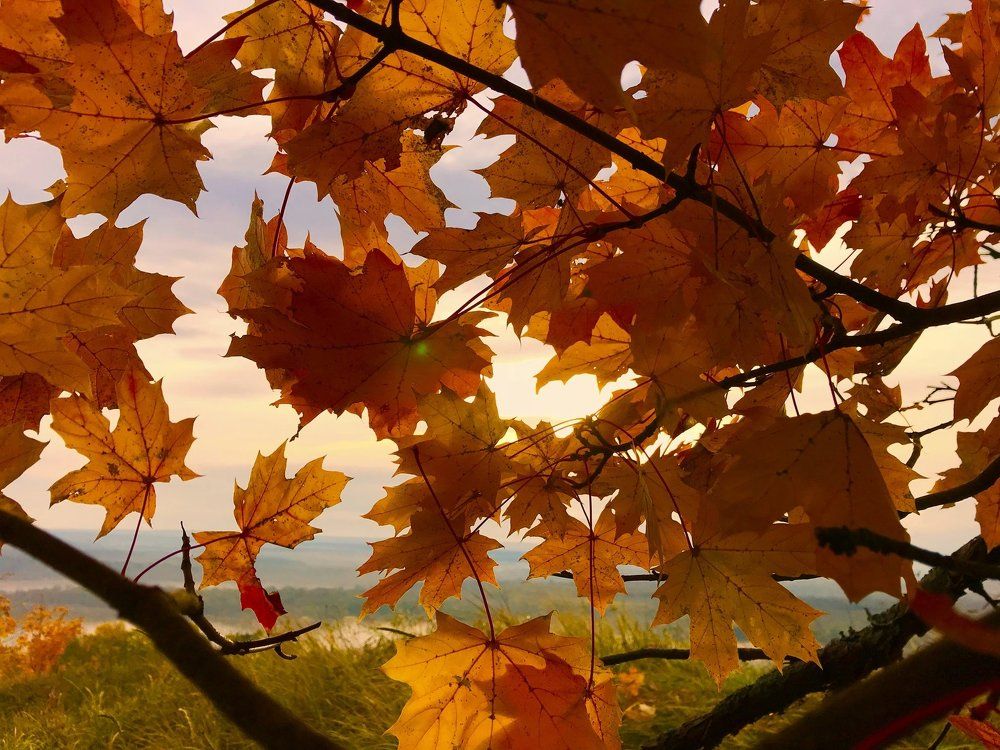 Рассвет на Никольской горе