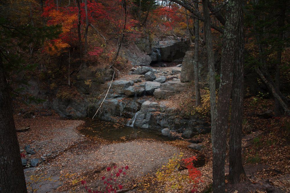 Photograph by Сигида Дмитрий