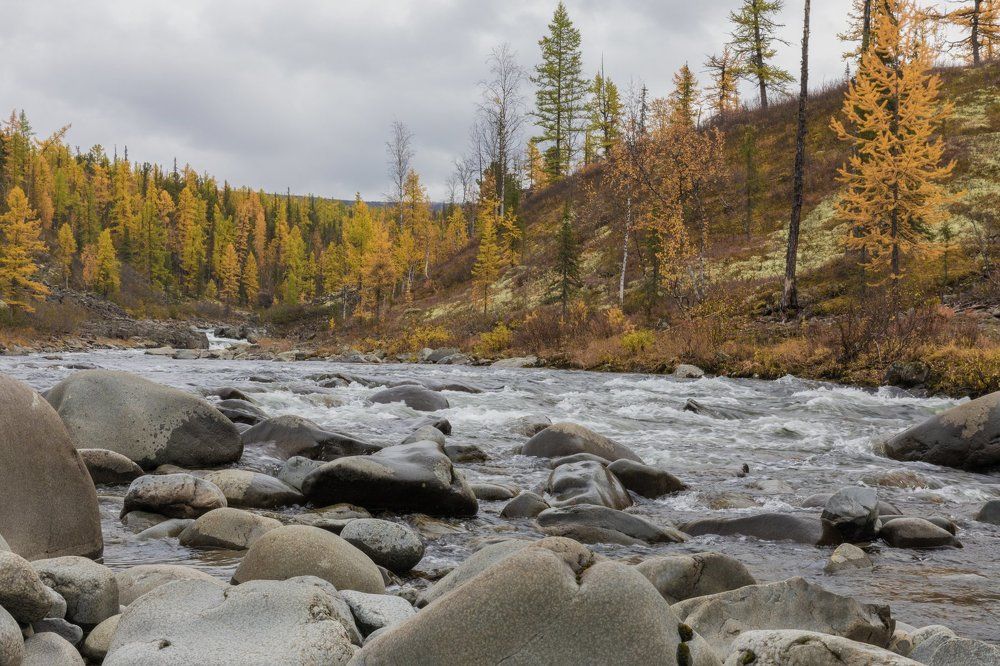 Сибирская осень. Туруханский край. Река Деленга.