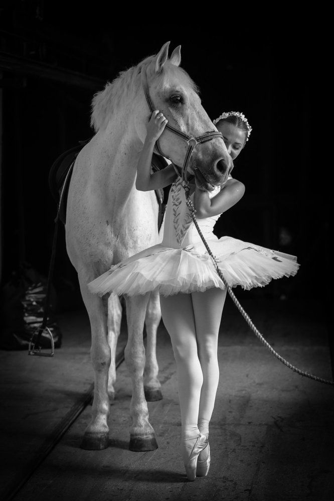 Укротительница