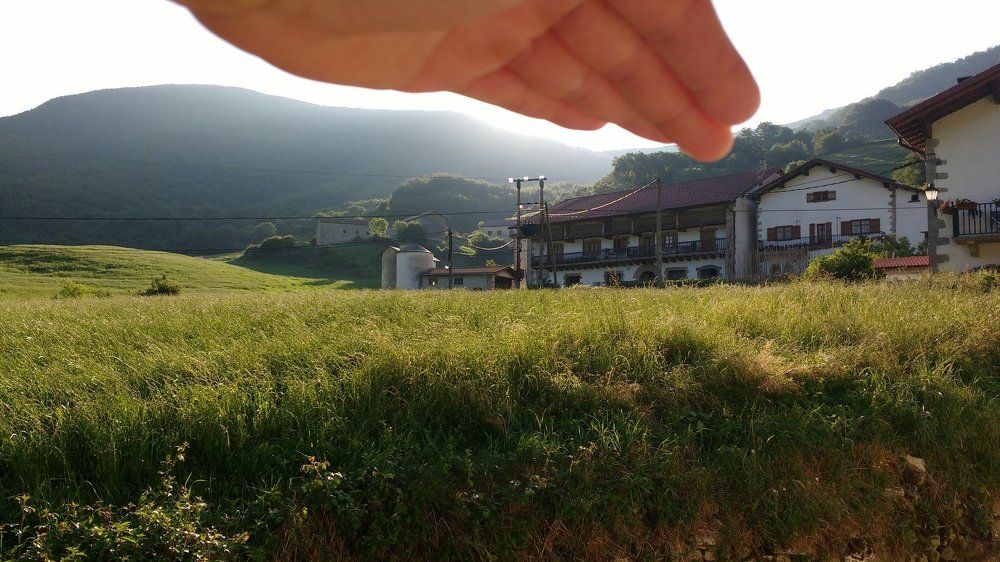 Zilbeti in summer