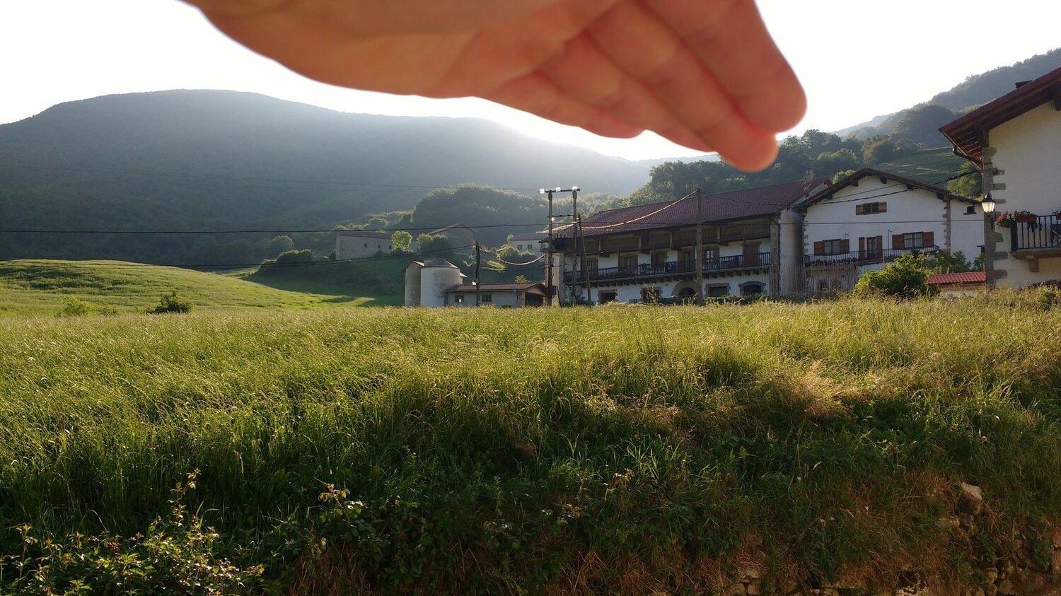 Zilbeti in summer