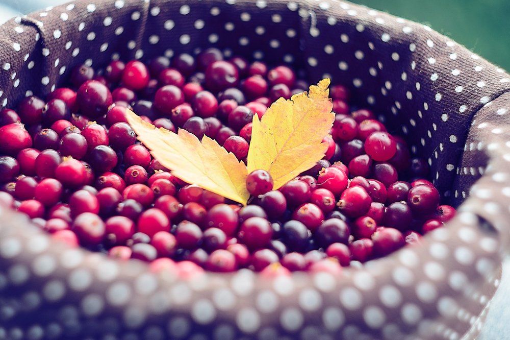 Photograph by Аксана Чалова