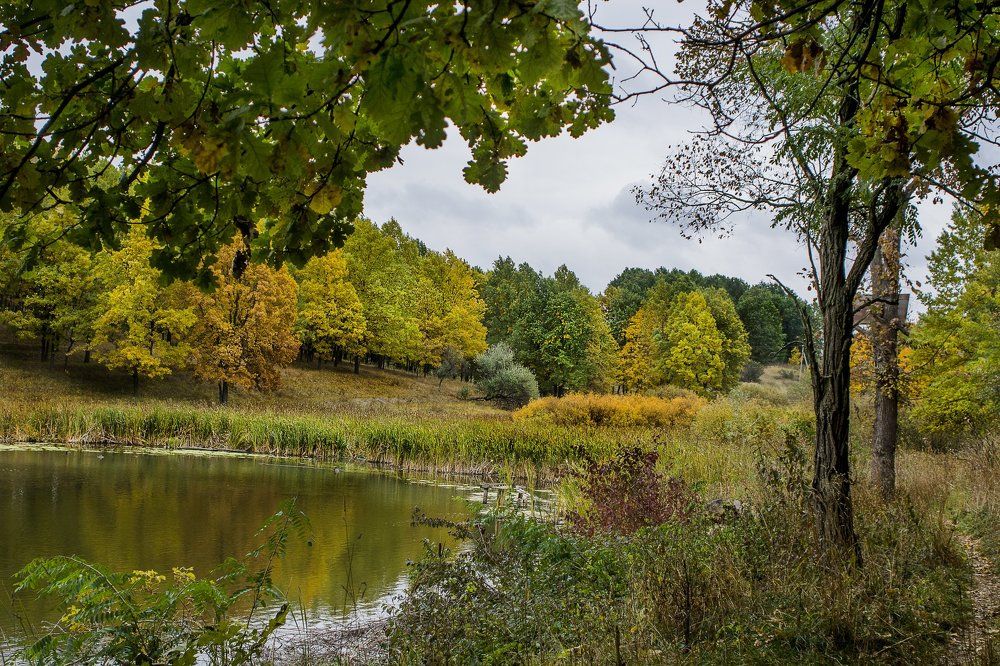 Фотография автора ТАРАСОВ ЕВГЕНИЙ