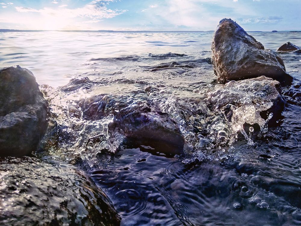 Последние капли лета