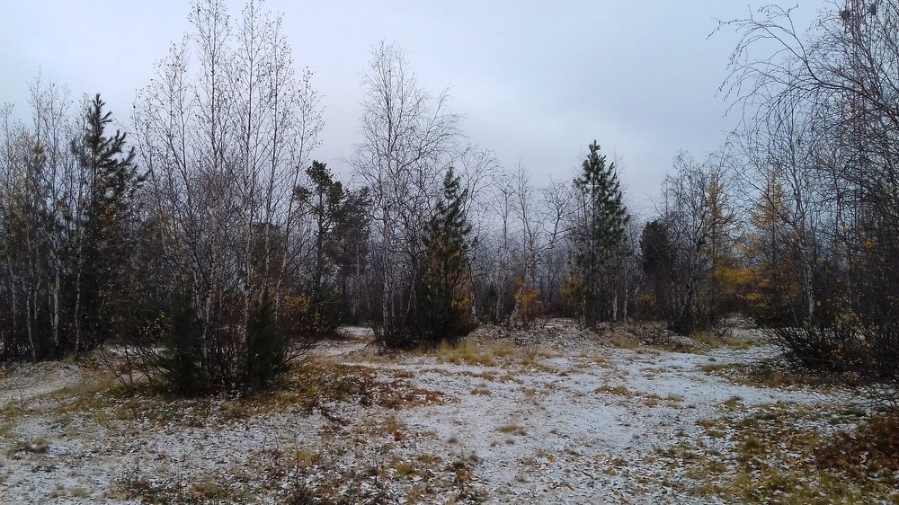 первый снег