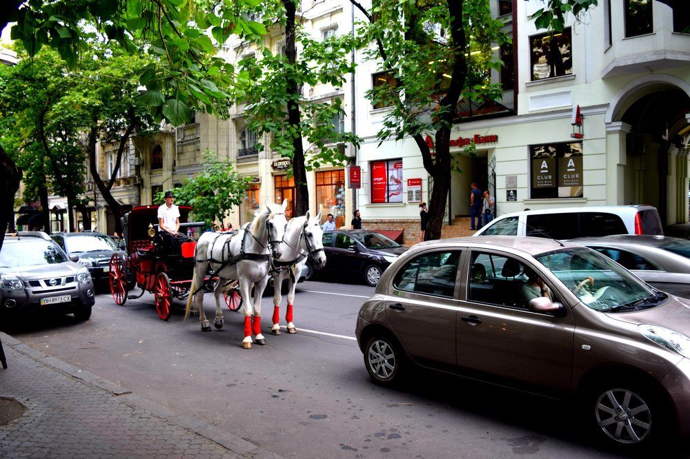 Затор на светафоре