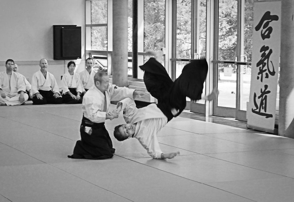 Lessons from Akido Master
