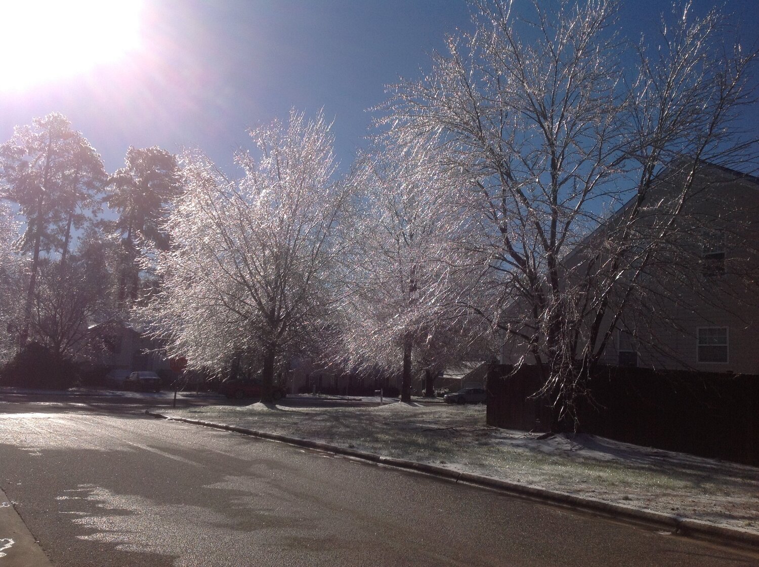 Crystal trees