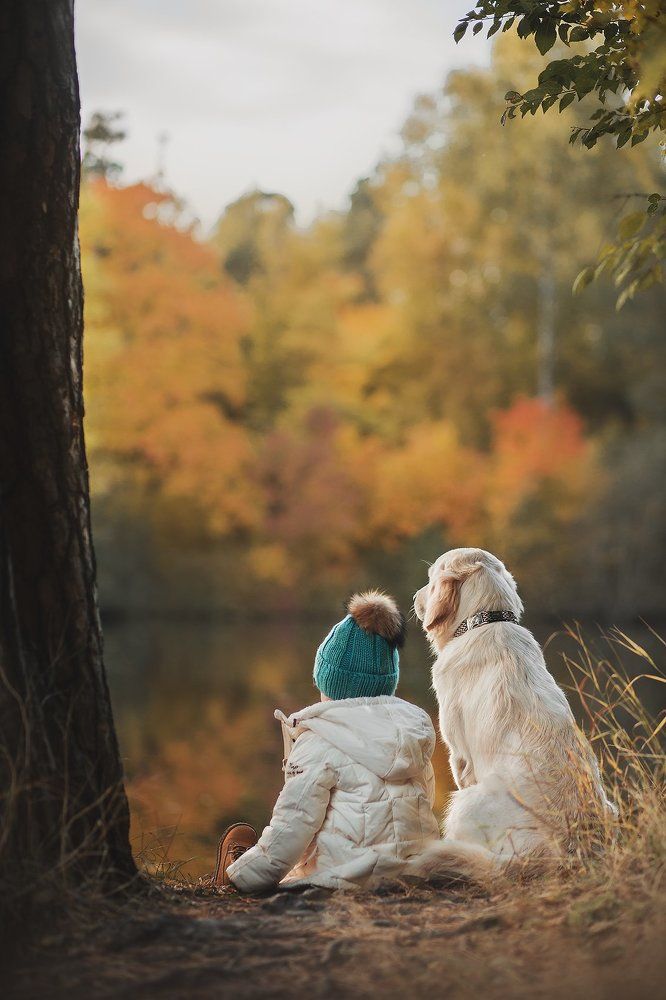 Осенняя сказка