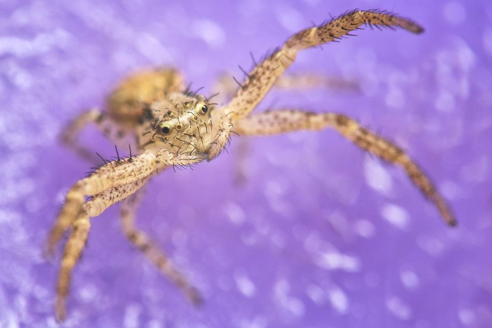 Приветствие