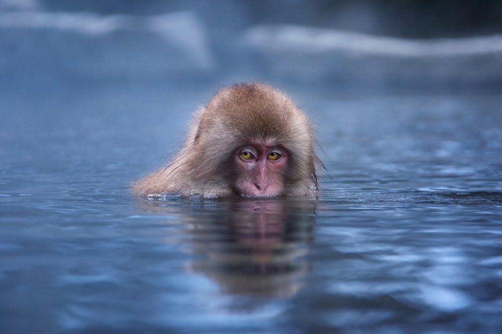 Холодно мне… холодно…