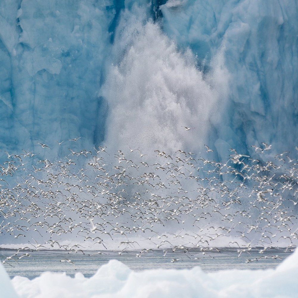 Откололась льдина