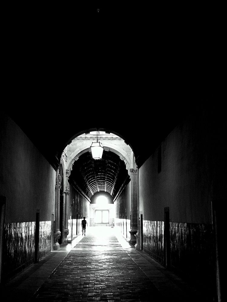 Light will find a way...