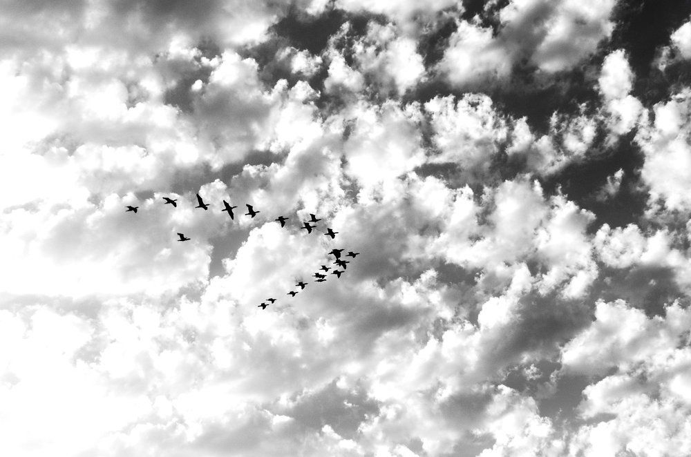 Кончается лето..