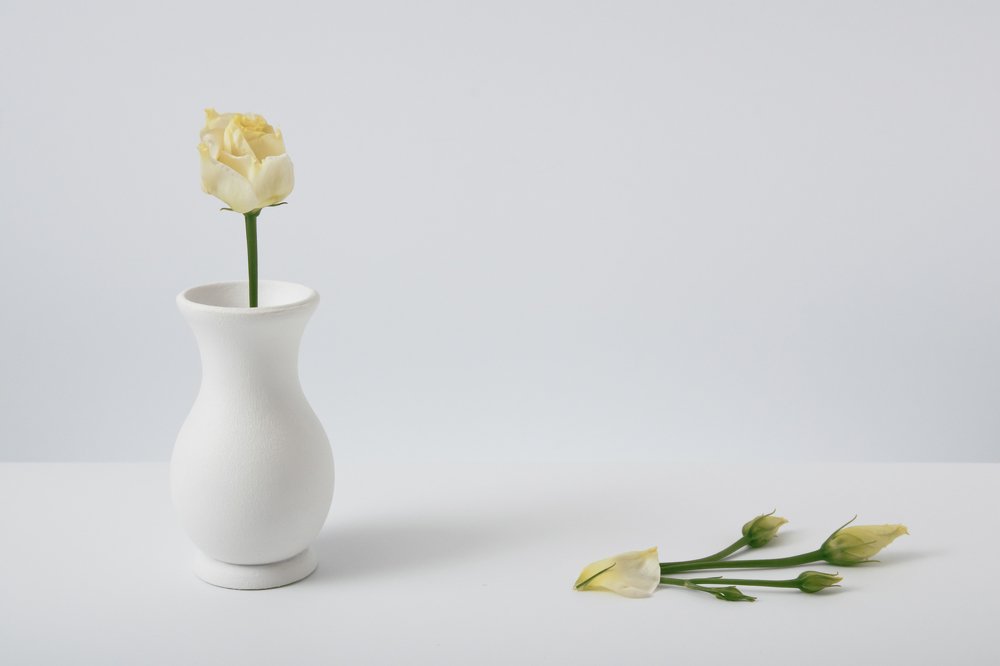 Жёлтая роза