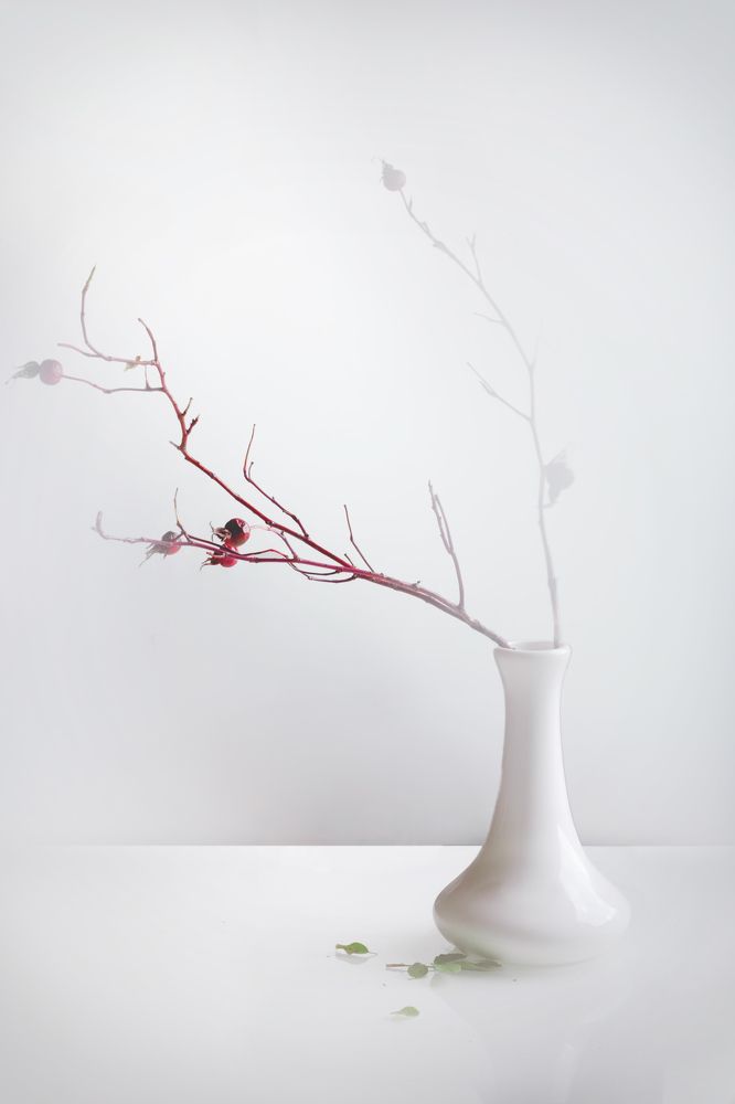 Морозное утро