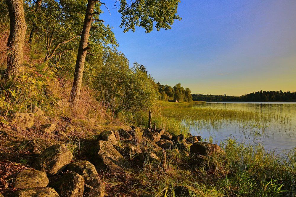 Утро на озере