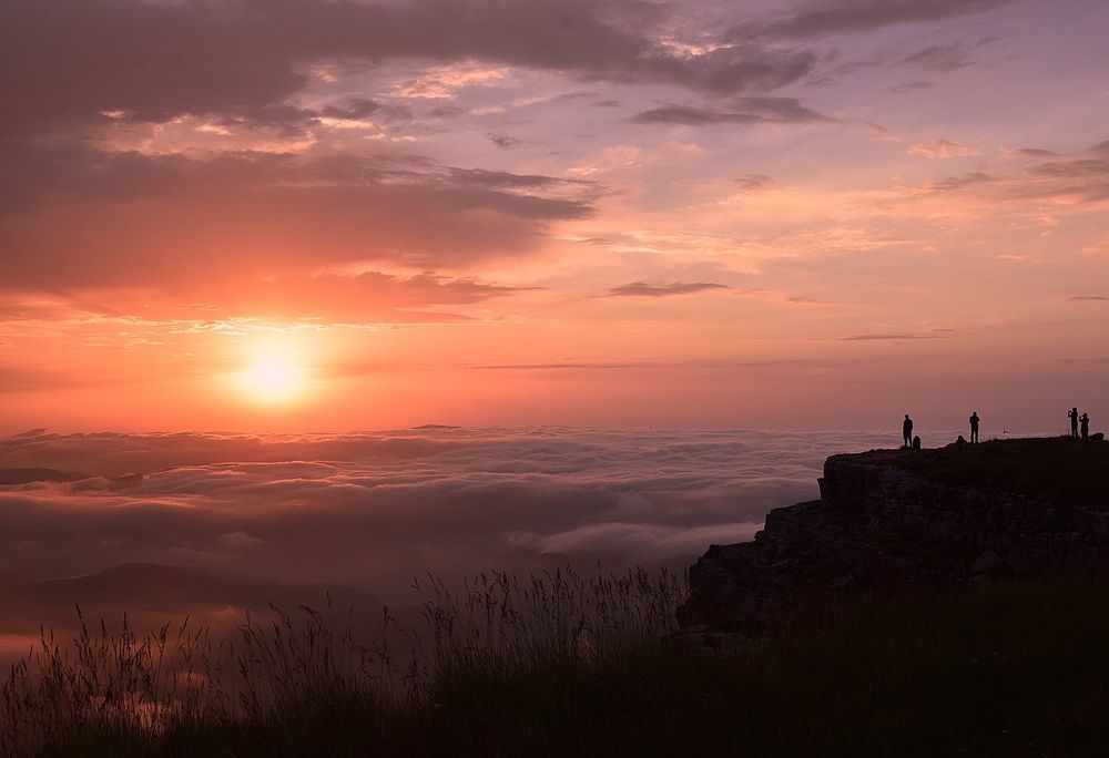 Наблюдатели