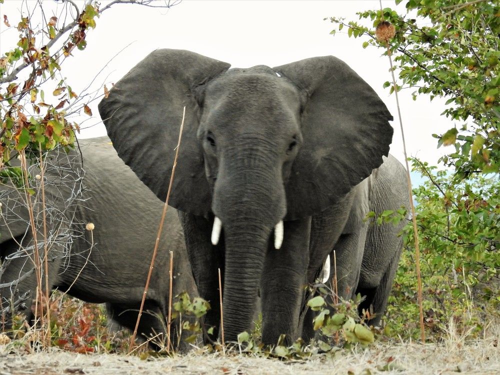Photograph by Sanjay Shinde