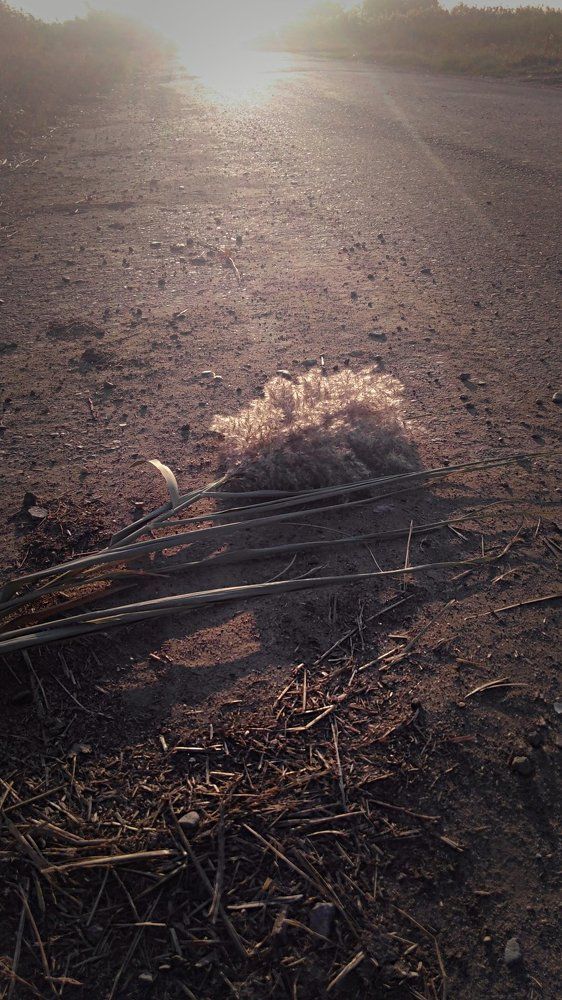 Осень!! Это первый знак её прихода