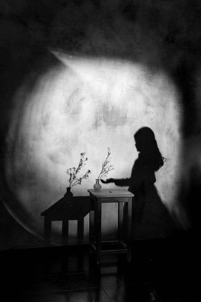 натюрморт с тенью