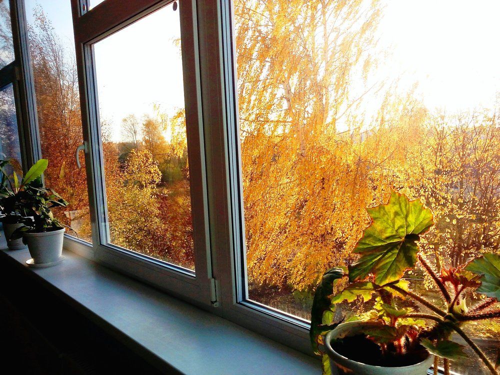 За окошком осень