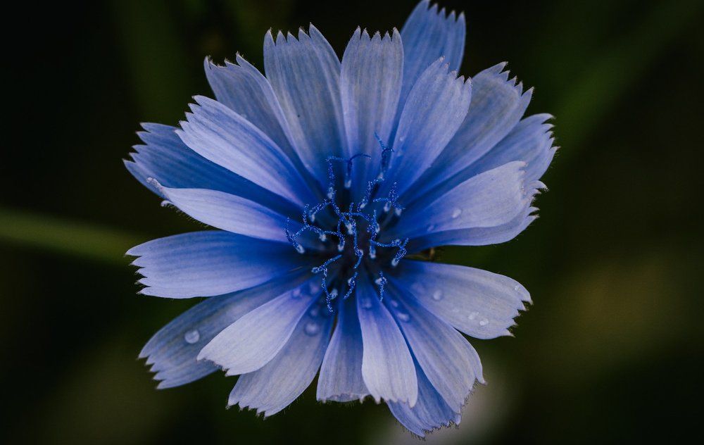 Photograph by Луговская Анастасия