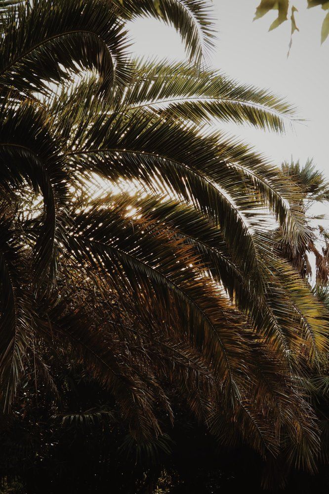 "Через тернии к звездам"