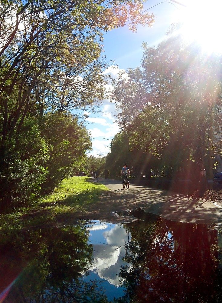 Какой прекрасный летний день...