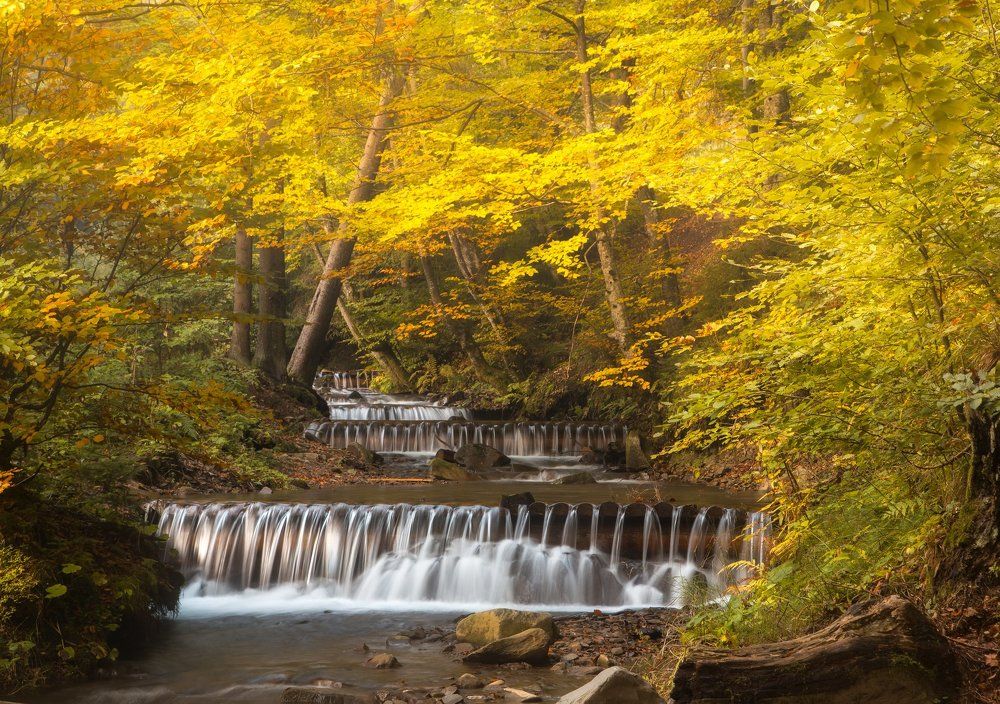 Золото осени