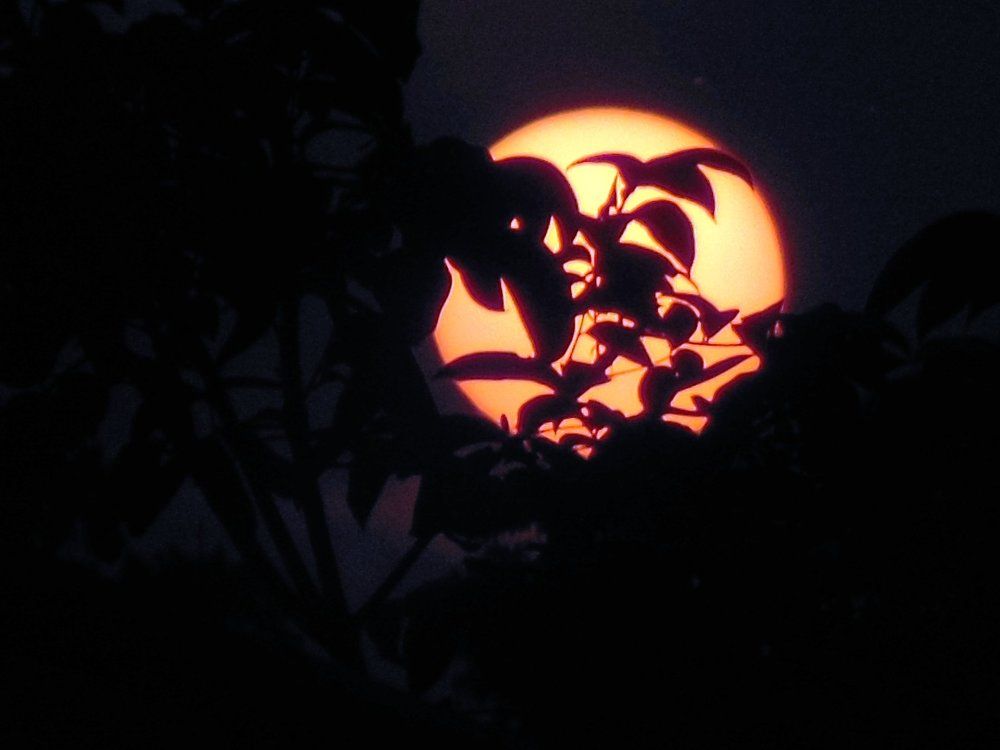 Full moon