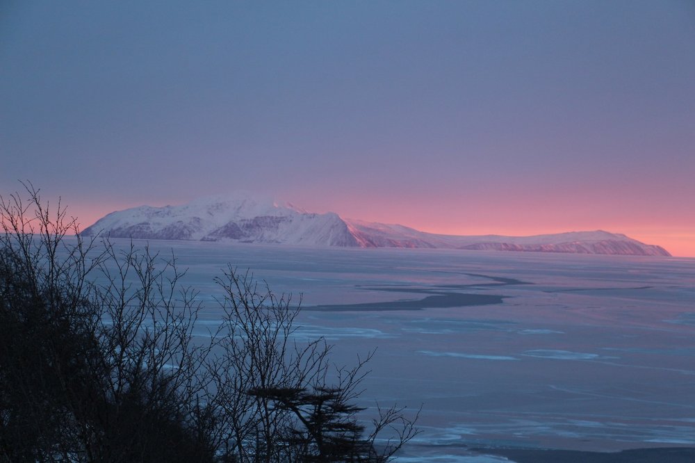 Прекрасное далёко