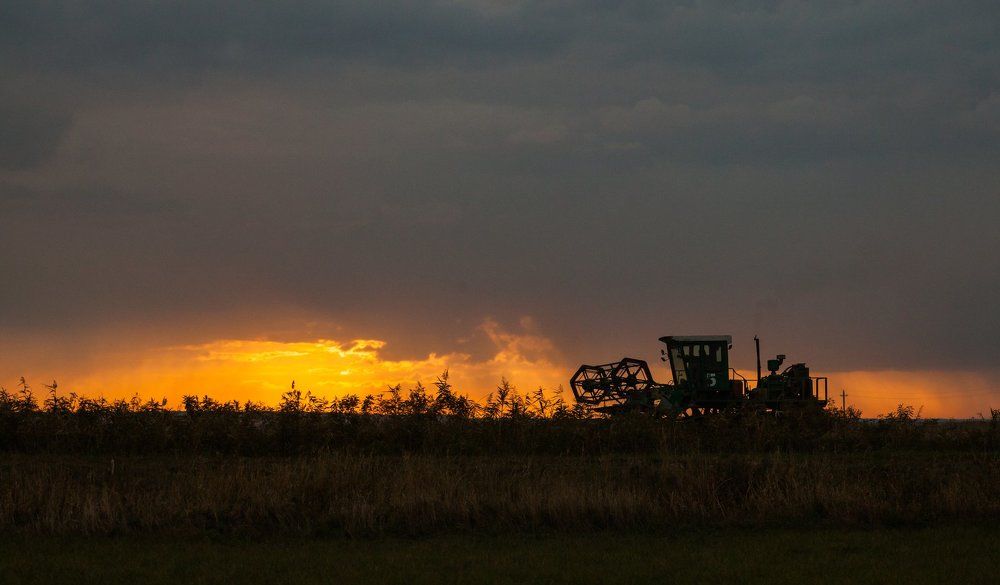 адский кайбайнершик