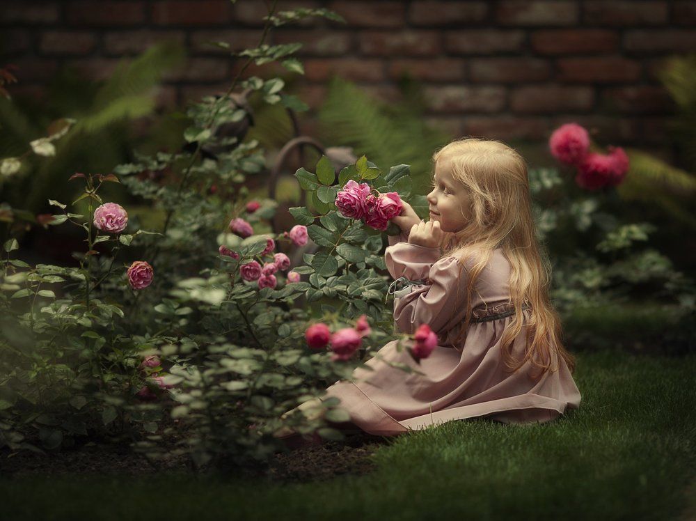 в стране чудес