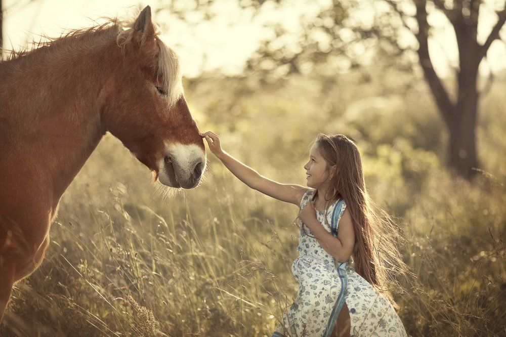 Здравствуй, Персик!
