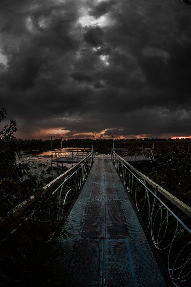 Photograph by Александр Черный