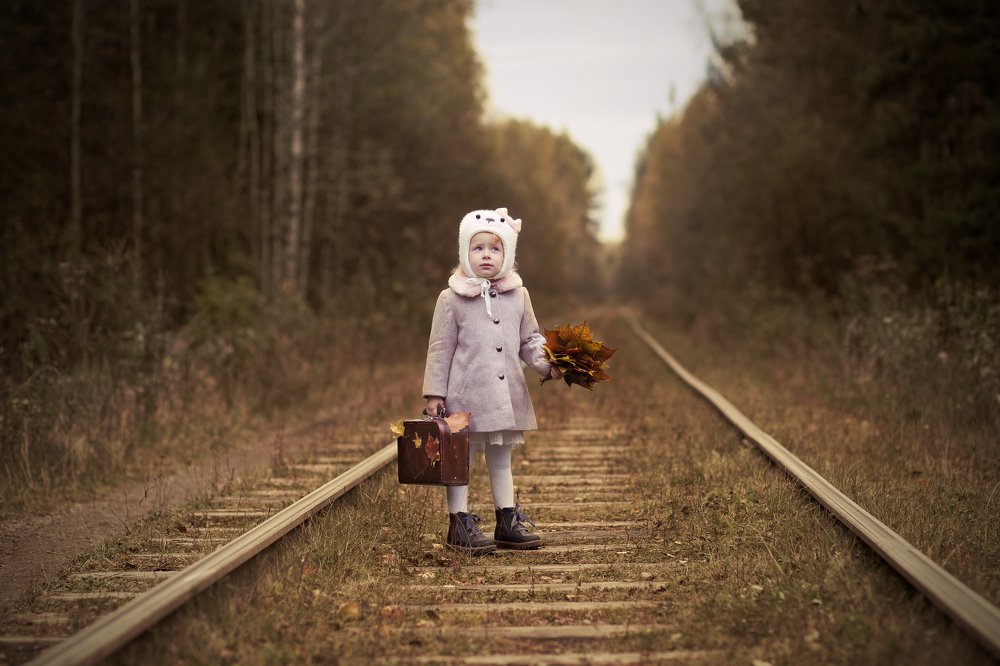 По дороге в осень