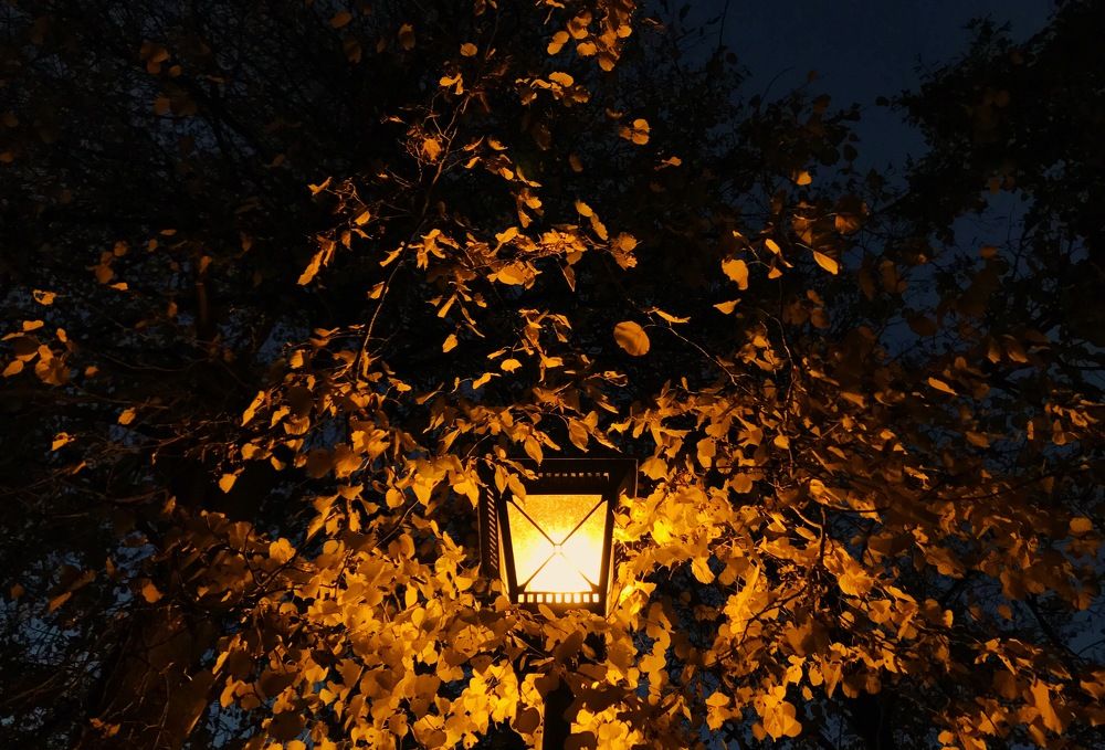 Autumn, fire and broken hearts