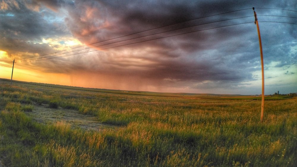 Перед грозой