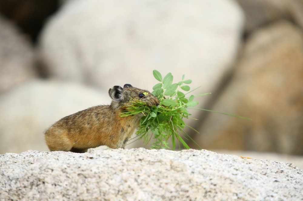 - Спешу на свидание к любимой.