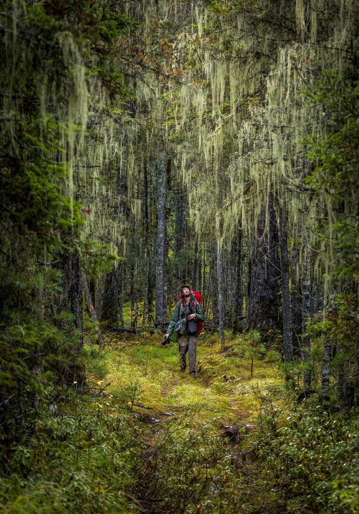 Зачарованный...