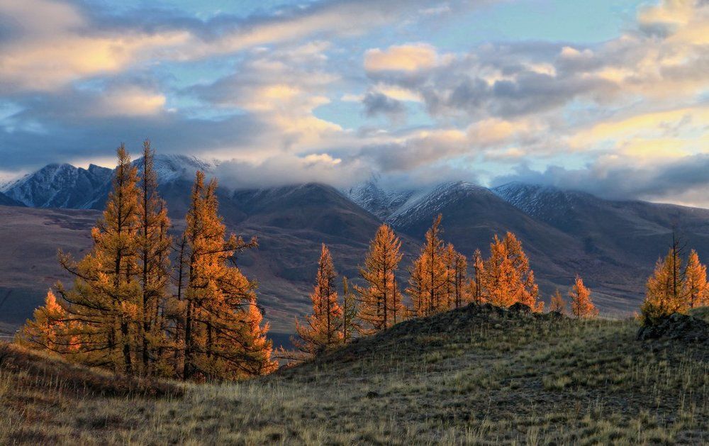 Осеннее пламя