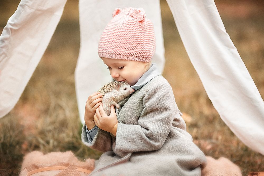 Дружба с ежиком