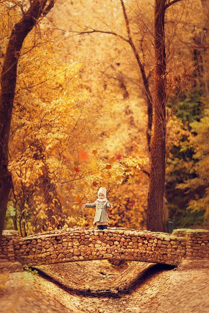 Медовая осень