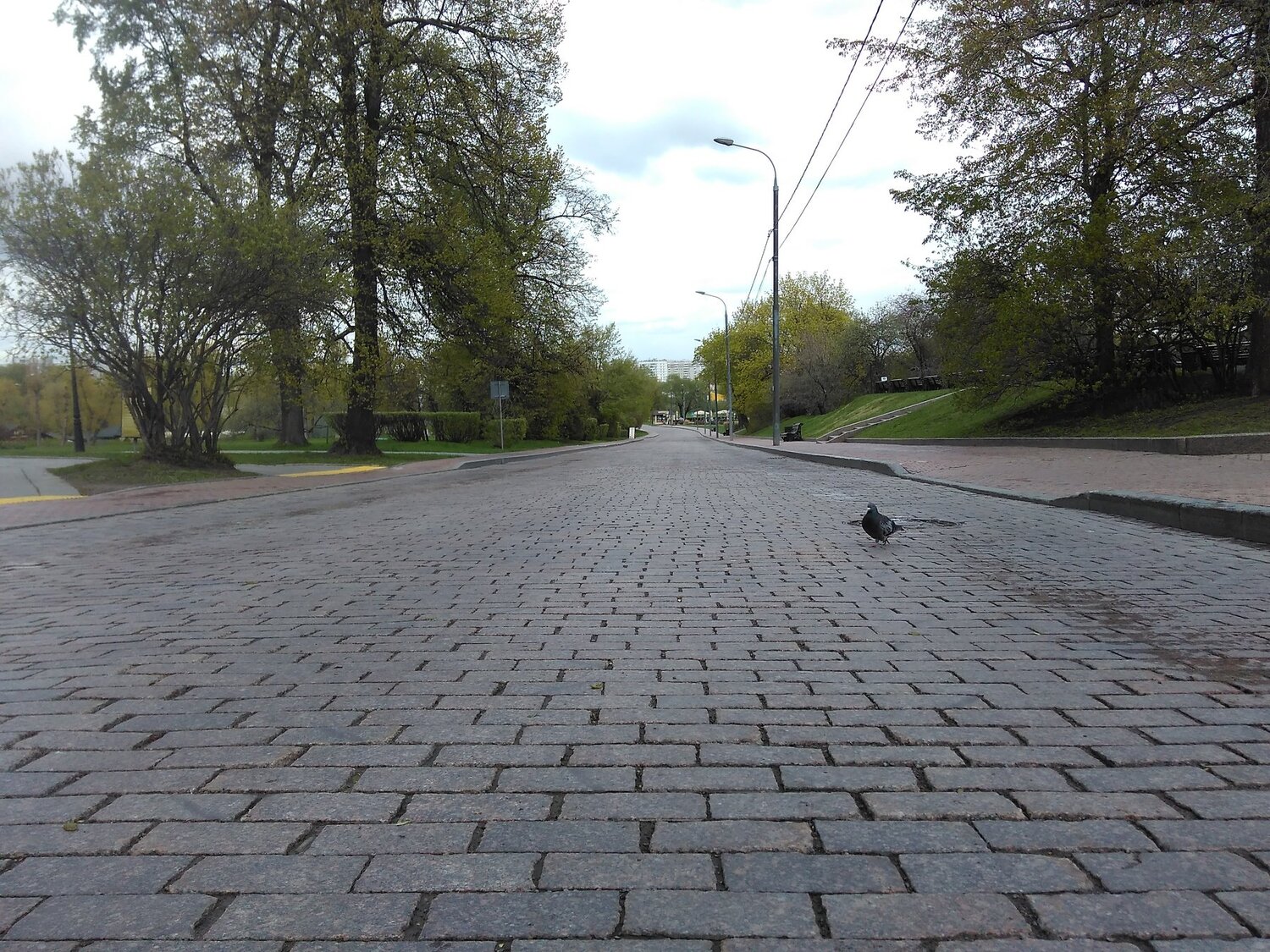 Прогулка в парке